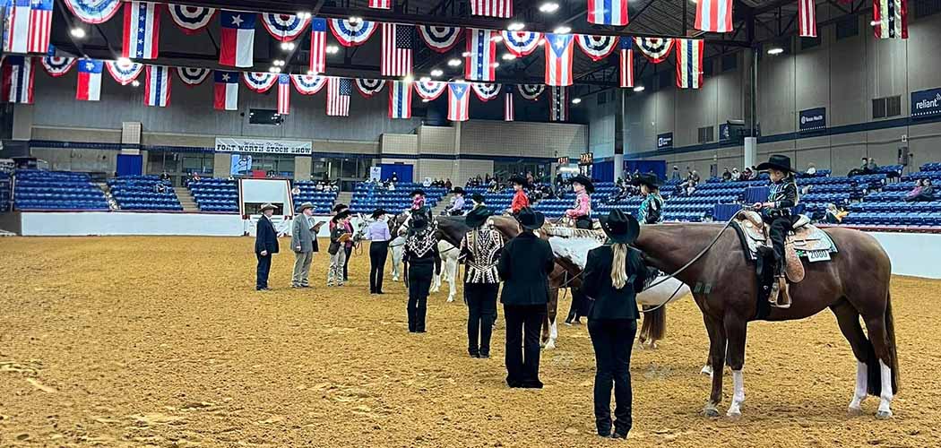 Texas Paint Horse Club